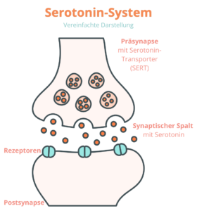 Serotonin-bei-PMDS