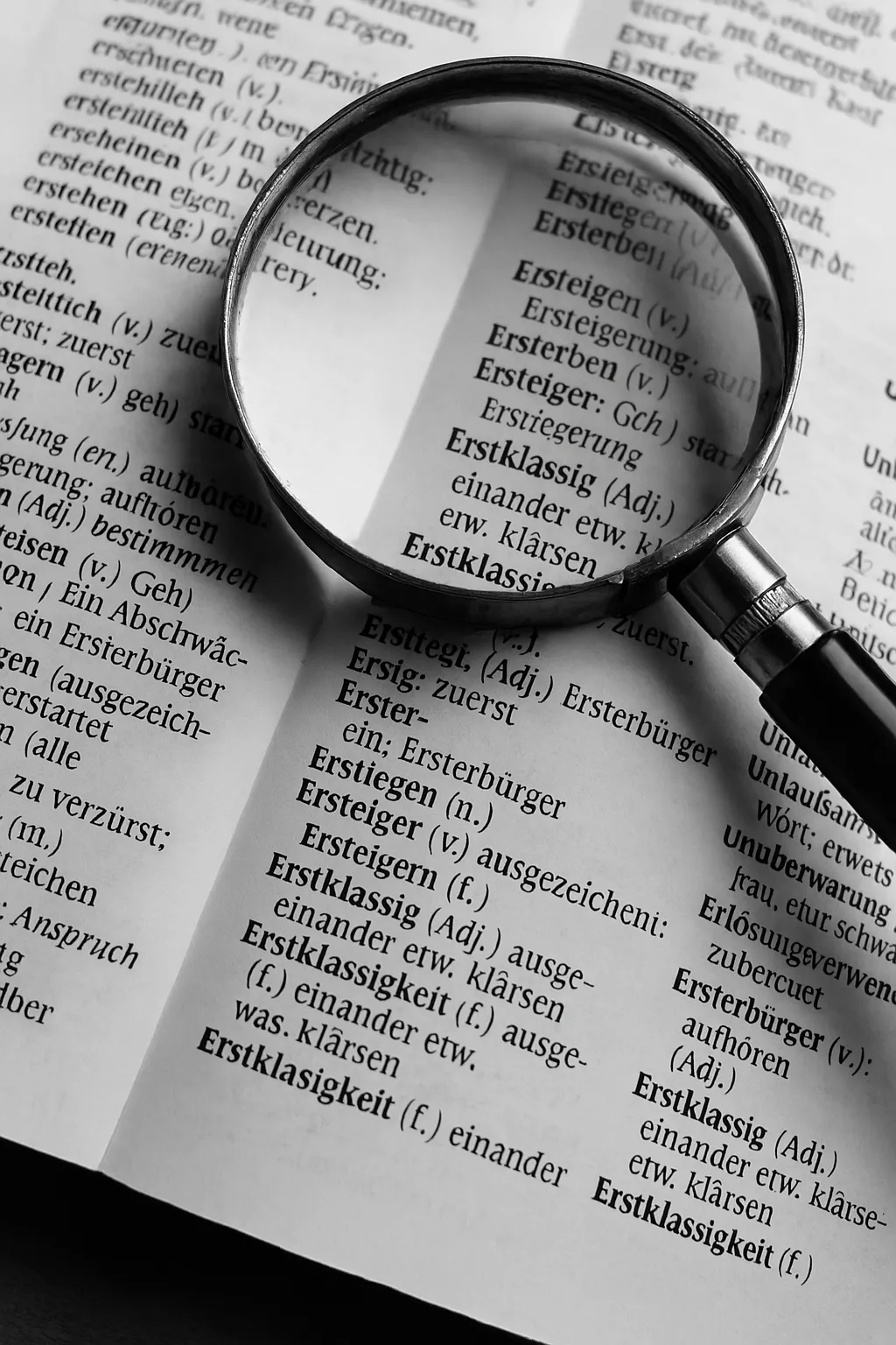 Idiolektik- Sprache formt unsere Wahrnehmung